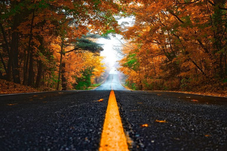 Looking down a road surrounded by fall trees.